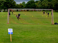 Round Robin Games